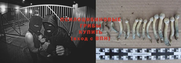 твердый Алексин