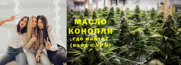 дмт Алексеевка