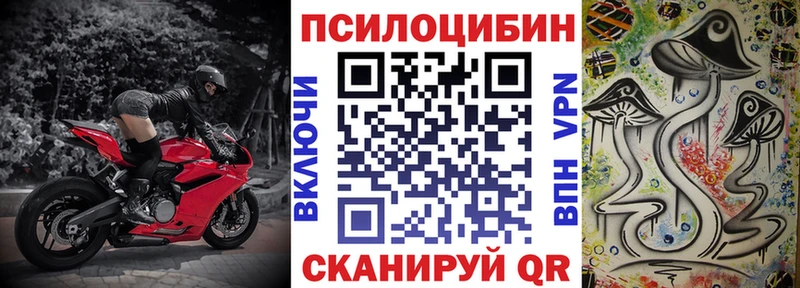 Псилоцибиновые грибы Psilocybe  где найти   Алушта 